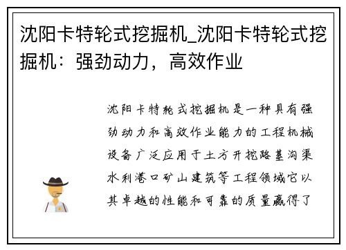 沈阳卡特轮式挖掘机_沈阳卡特轮式挖掘机：强劲动力，高效作业