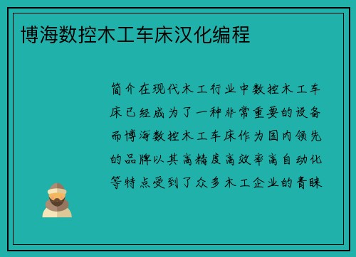 博海数控木工车床汉化编程